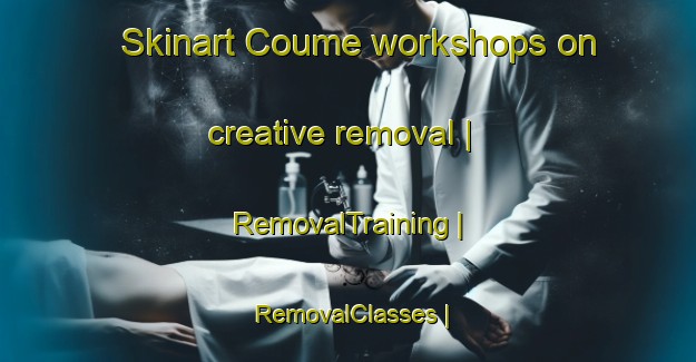 Skinart Coume workshops on creative removal | RemovalTraining | RemovalClasses | SkinartTraining-France